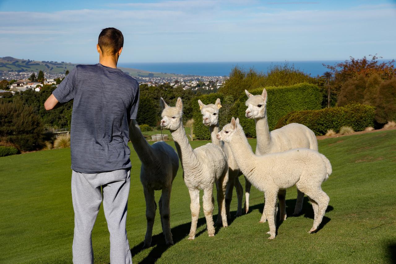 Alpaca Farmstay 더니든 외부 사진